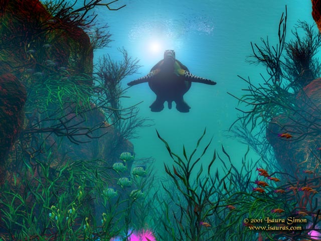 Coral Reef