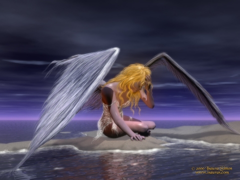 Fallen Angel