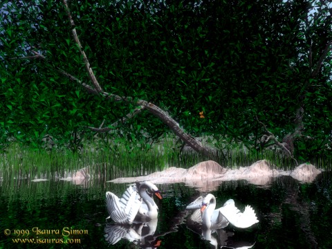 Swan Lake