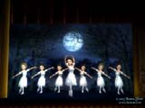 Swan Lake Ballet