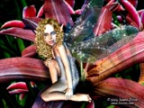 Fae Glamour