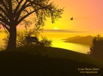 Serenity
